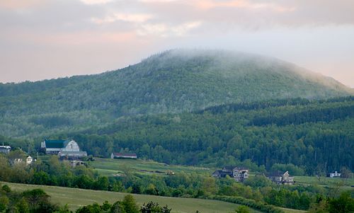 Municipality of the County of Antigonish